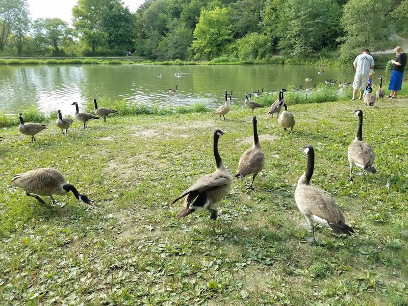 Why This Park Rewards a Return Visit