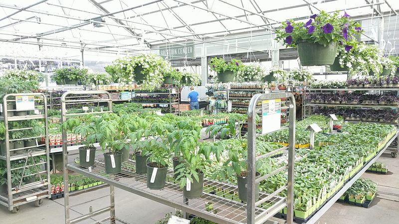 Why This Place Keeps Drawing Visitors Back