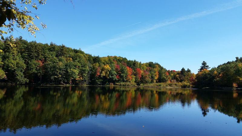 Why This Pond Keeps Drawing People Back Season After Season Why This Pond Keeps Drawing People Back Season After Season