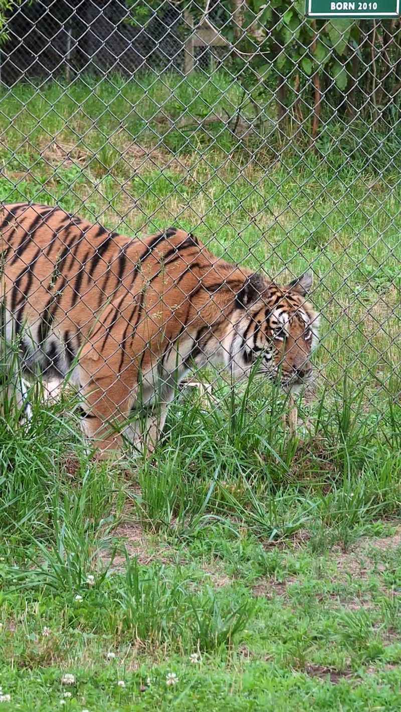 Why This Sanctuary Deserves a Spot on Your Travel List Why This Sanctuary Deserves a Spot on Your Travel List