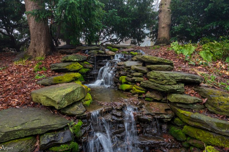 Why This Small Garden Leaves Such a Lasting Impression Why This Small Garden Leaves Such a Lasting Impression