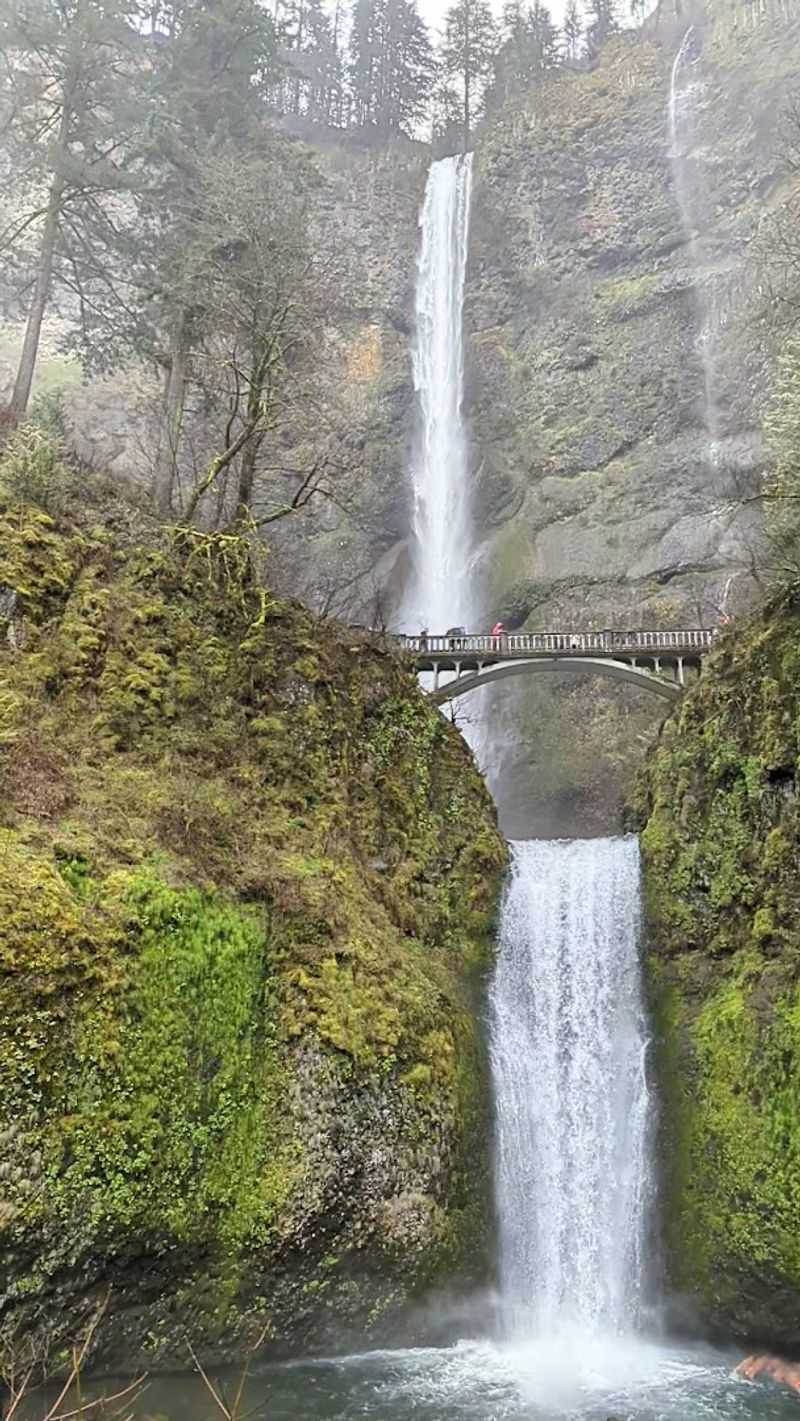 Why This Trail Deserves a Spot on Every Pacific Northwest Bucket List Why This Trail Deserves a Spot on Every Pacific Northwest Bucket List