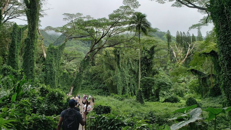 Why This Trail Deserves a Spot on Your Oahu List