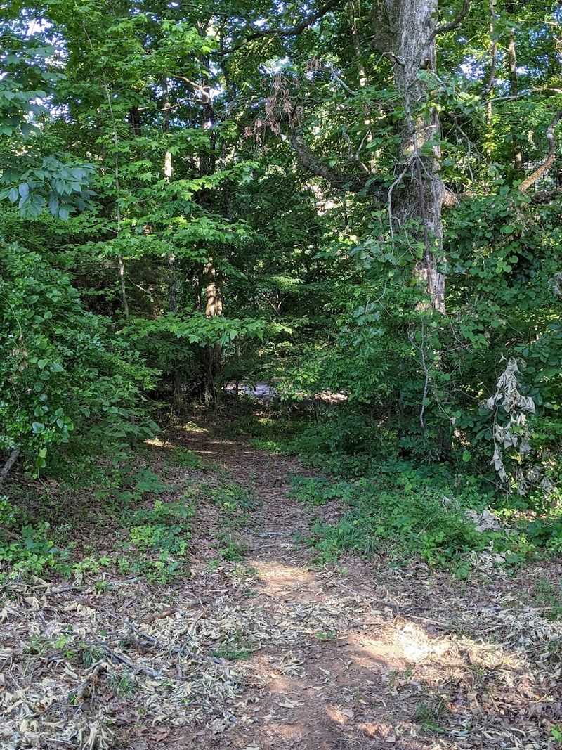 Why This Trail Deserves a Spot on Your Oxford Itinerary Why This Trail Deserves a Spot on Your Oxford Itinerary