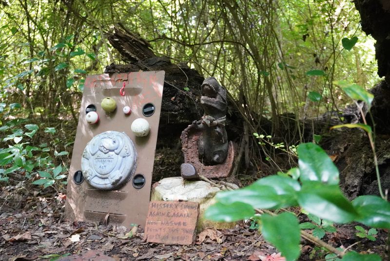 Why This Trail Stands Apart From Other Atlanta Hikes Why This Trail Stands Apart From Other Atlanta Hikes