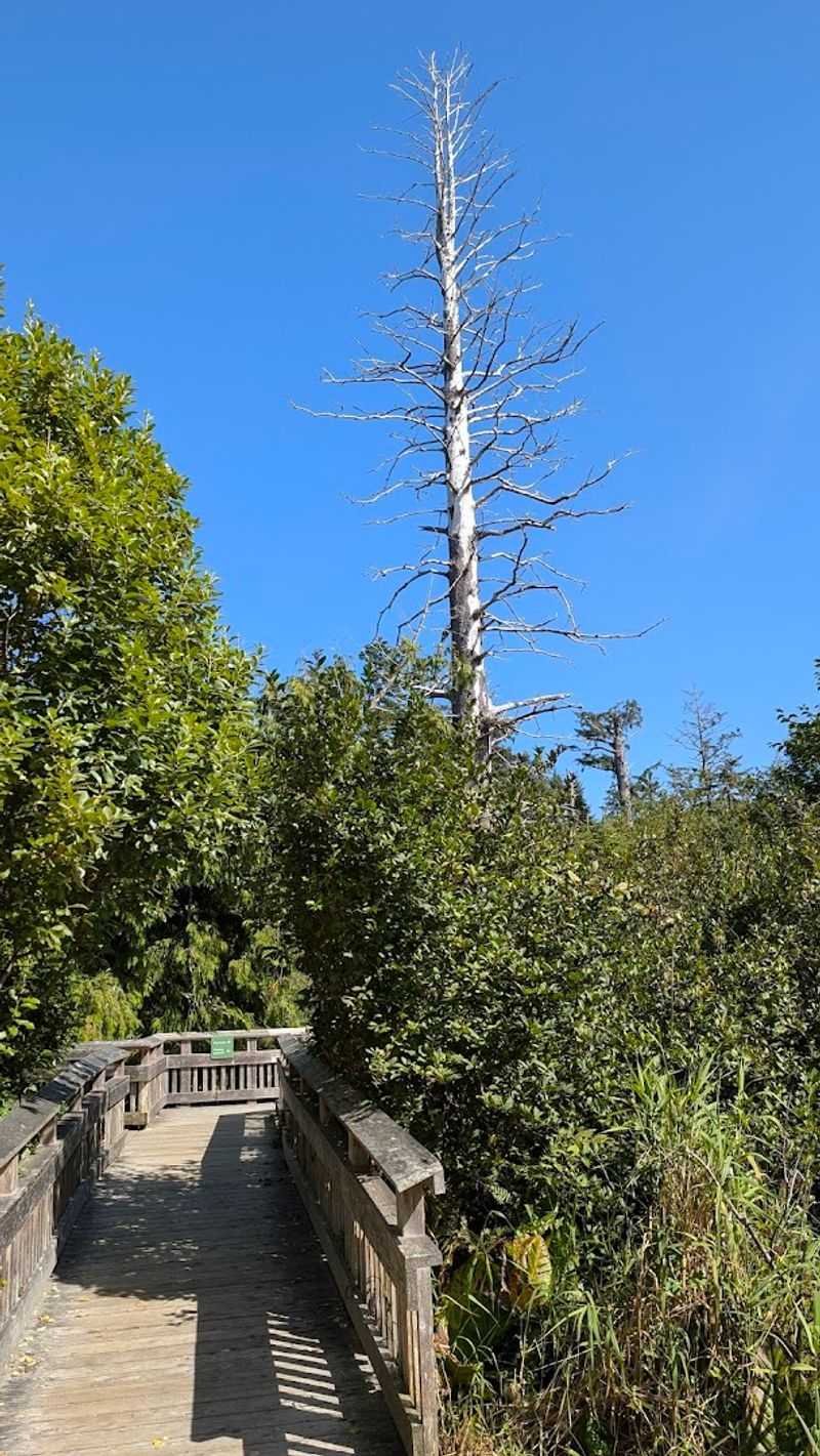 Why This Trail Works So Well for Families and First-Time Hikers