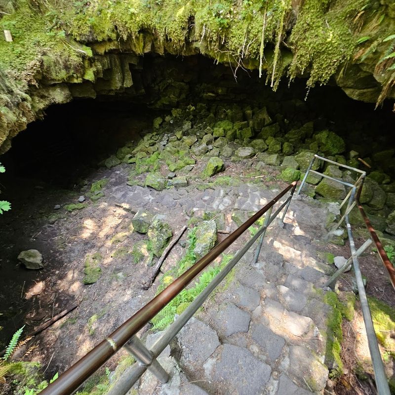 Why This Underground World Keeps Drawing People Back