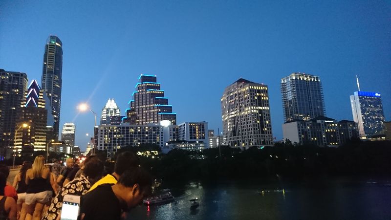 Why the Bat Tour Leaves a Lasting Impression Why the Bat Tour Leaves a Lasting Impression