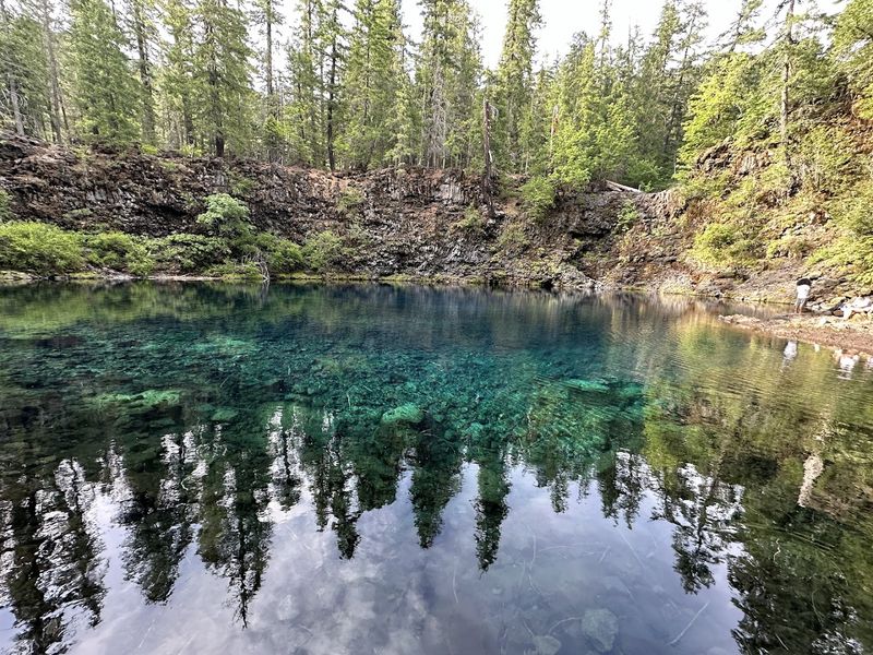 Why the McKenzie River Trail Keeps Drawing People Back