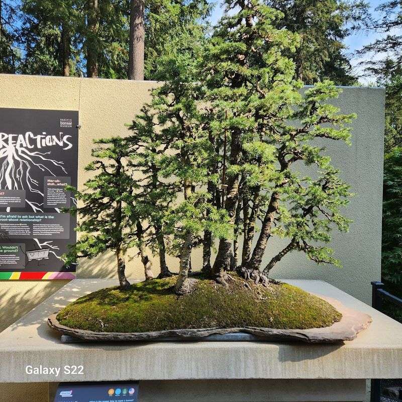Why the Pacific Northwest Is the Perfect Home for This Collection Why the Pacific Northwest Is the Perfect Home for This Collection