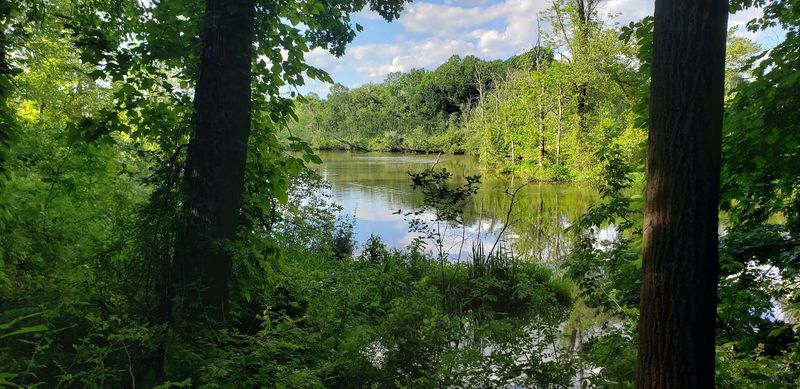 Why the Preserve Feels Unlike a Typical County Park Why the Preserve Feels Unlike a Typical County Park