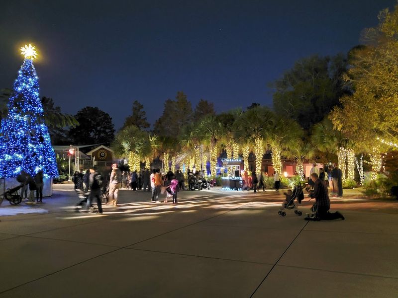 Wild Lights: The Holiday Transformation That Draws Thousands Wild Lights: The Holiday Transformation That Draws Thousands