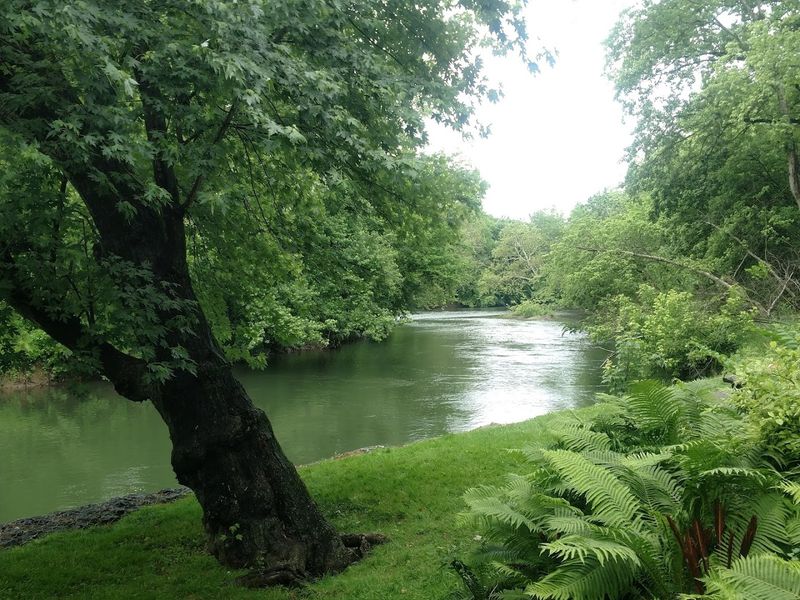 Wildflower Gardens and River Trails: Art Meets the Outdoors