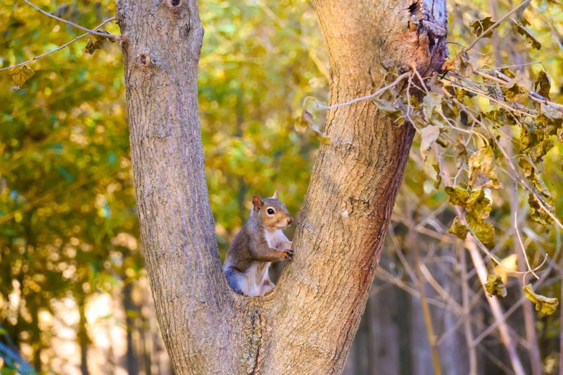 Wildlife Encounters That Happen When You Least Expect Them Wildlife Encounters That Happen When You Least Expect Them