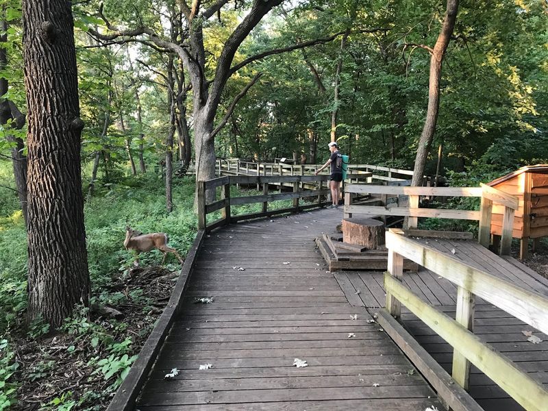 Wildlife Encounters You Cannot Schedule in Advance Wildlife Encounters You Cannot Schedule in Advance