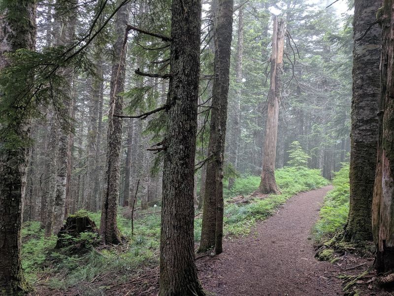 Wildlife, Mushrooms, and the Quiet Surprises Along the Way Wildlife, Mushrooms, and the Quiet Surprises Along the Way