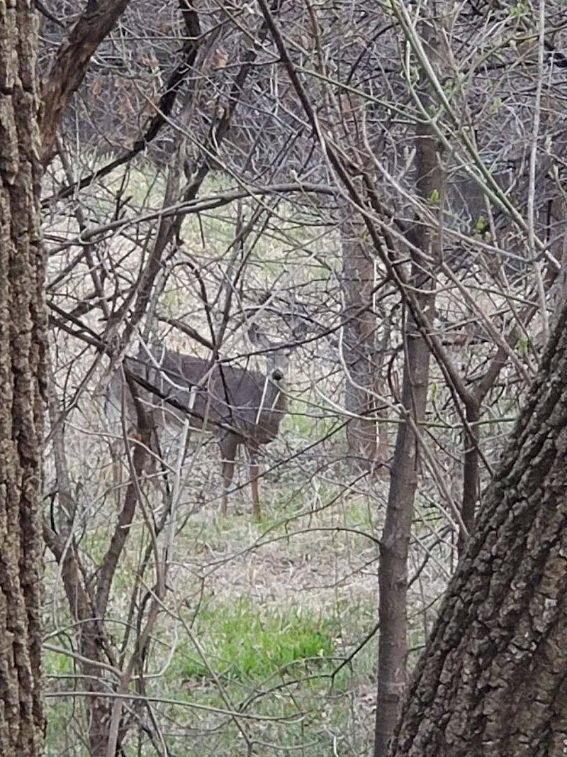 Wildlife That Shows Up Uninvited (in the Best Way) Wildlife That Shows Up Uninvited (in the Best Way)