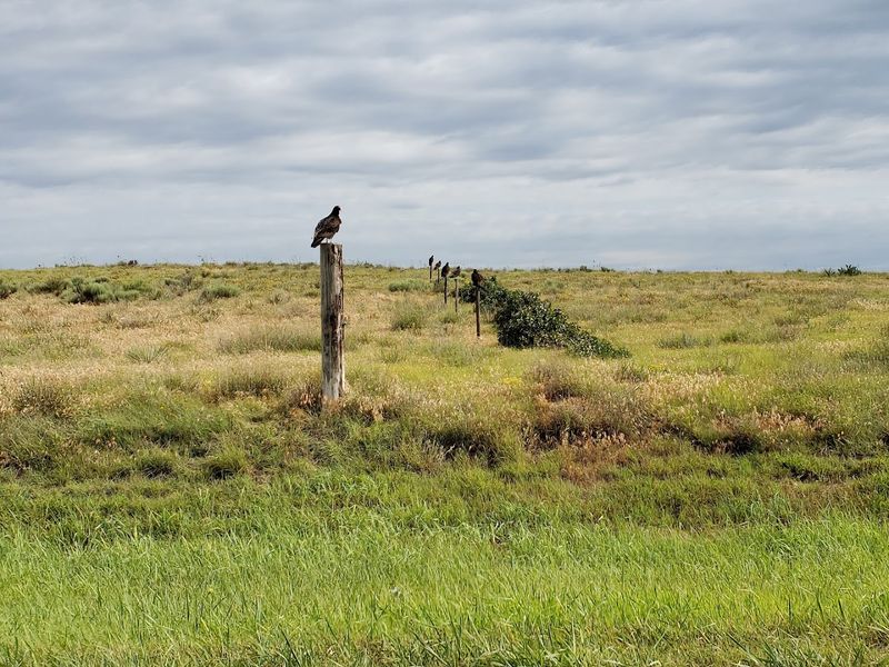 Wildlife That Will Genuinely Surprise You Wildlife That Will Genuinely Surprise You