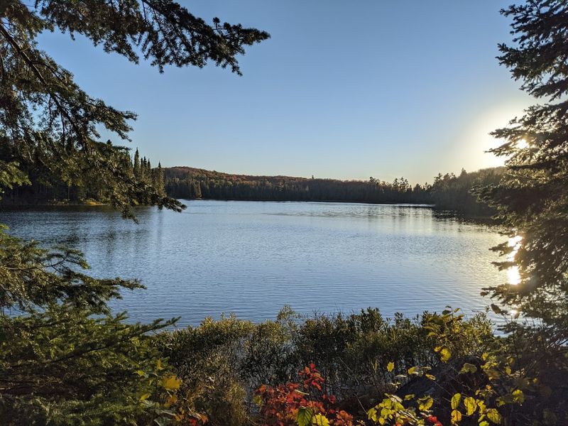Wildlife Watching: The North Shore's Living Residents