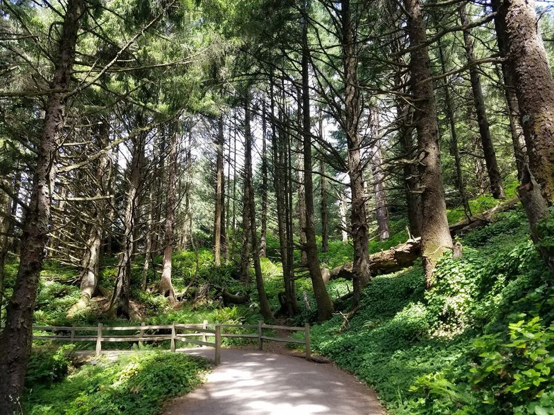 Wildlife You Might Spot on the Headland