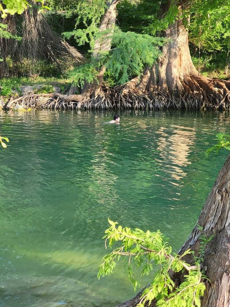Wildlife and Bird Watching That Surprises First-Time Visitors
