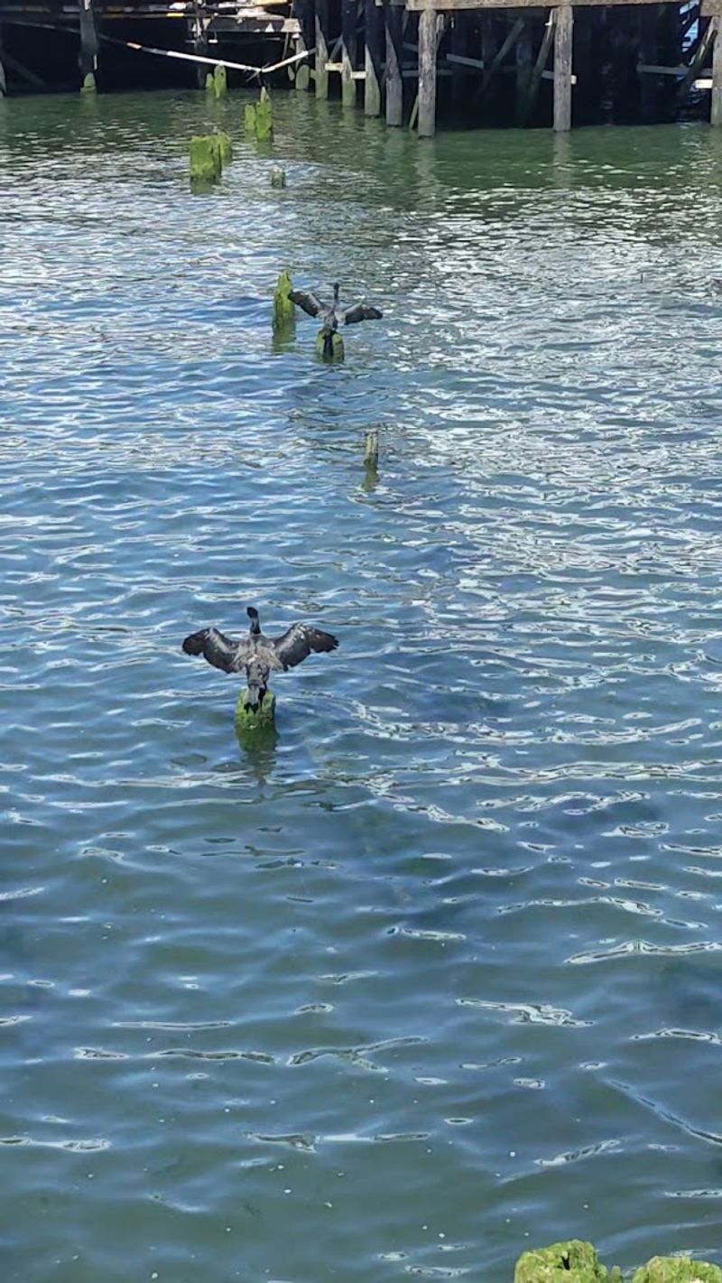 Wildlife and Natural Details Worth Noticing