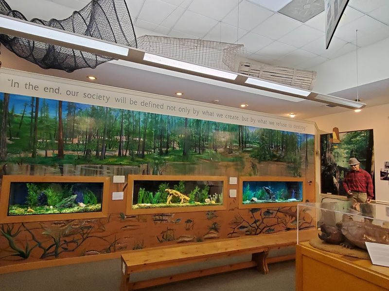 Wildlife and Natural Heritage of the River Delta Wildlife and Natural Heritage of the River Delta