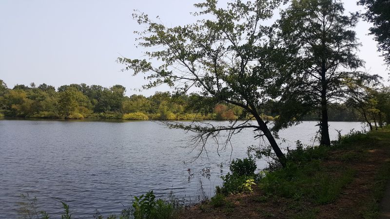 Wildlife and Natural Scenery Along the Trail
