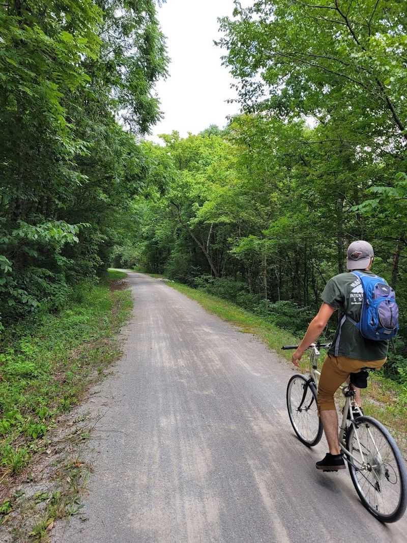 Wildlife and Natural Scenery That Earns Its Own Spotlight
