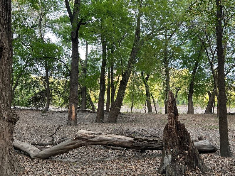Wildlife and Natural Springs Along the Trails