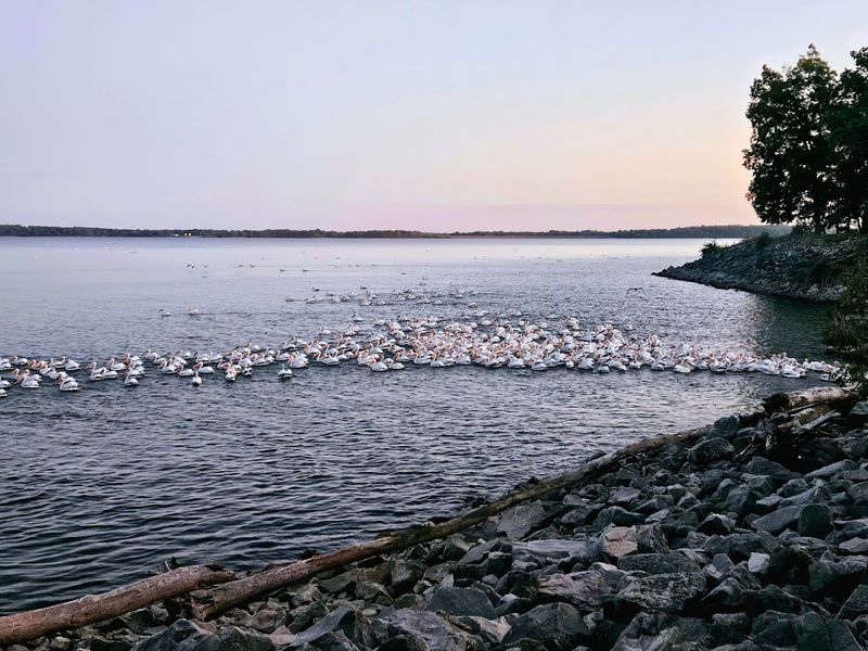 Wildlife and Natural Surroundings Wildlife and Natural Surroundings
