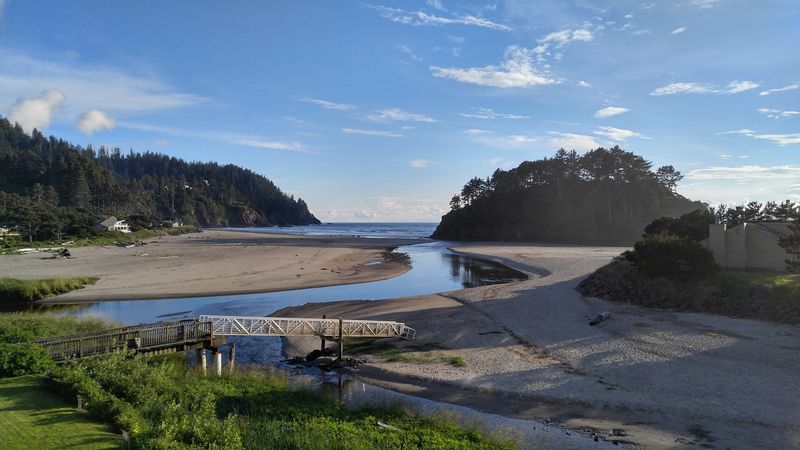 Wildlife and Natural Wonders Along the Shore Wildlife and Natural Wonders Along the Shore