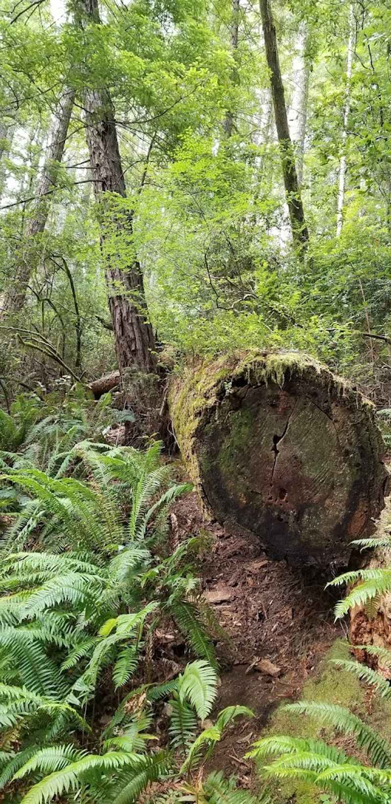 Wildlife and Nature Along the Trail