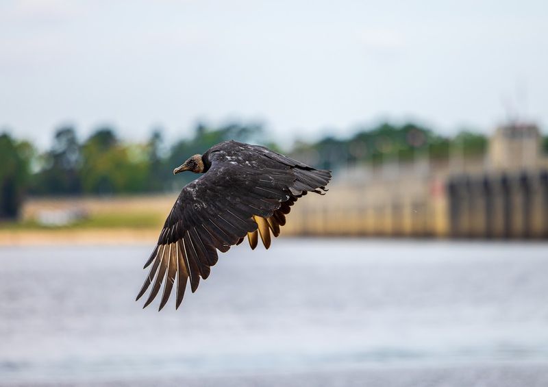 Wildlife and Nature That Reward Patient Observers