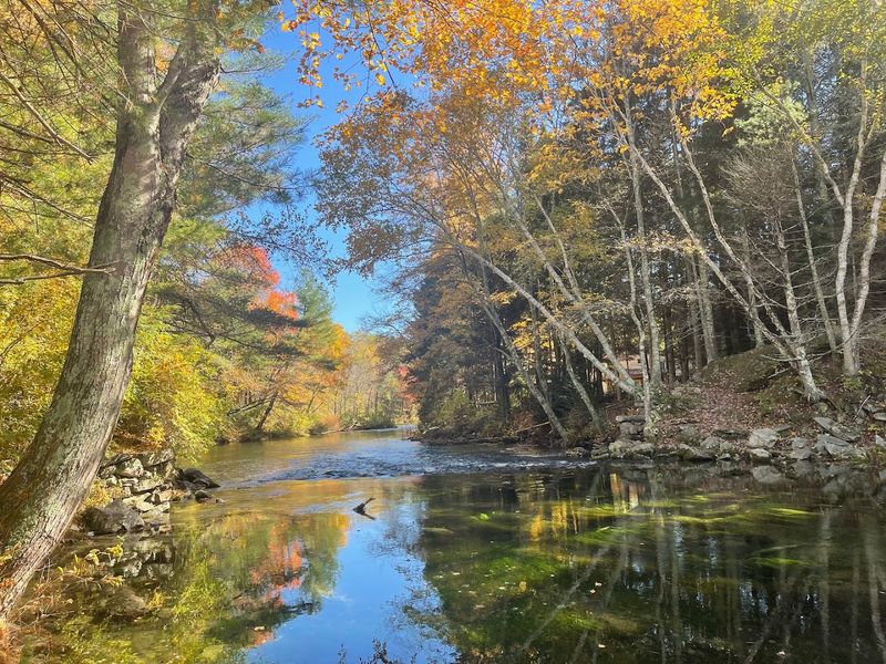 Wildlife and the Protected Watershed Forest Wildlife and the Protected Watershed Forest