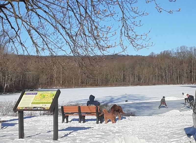 Winter Activities That Keep the Park Alive Year-Round Winter Activities That Keep the Park Alive Year-Round