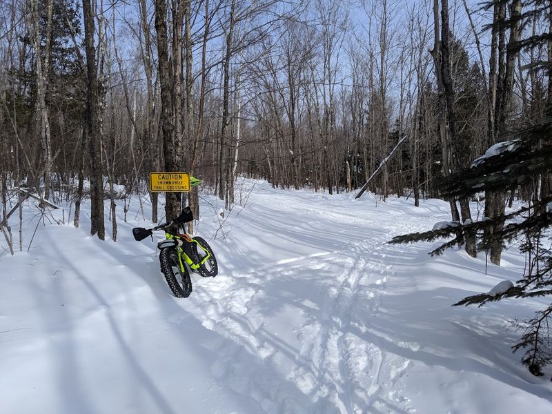 Winter Beyond Skiing: Snowshoeing, Trails, and Frozen Silence
