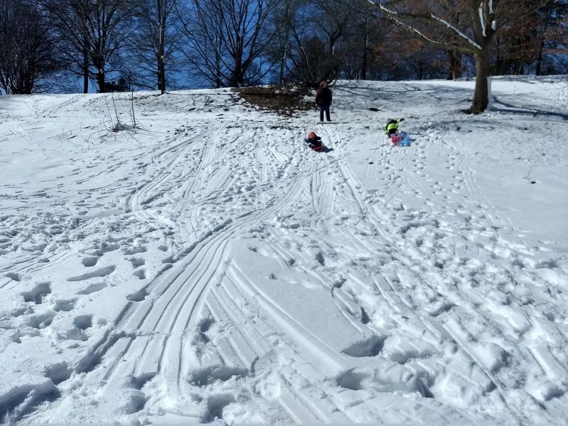 Winter Sledding, Dog Walking, and Year-Round Reasons to Return Winter Sledding, Dog Walking, and Year-Round Reasons to Return