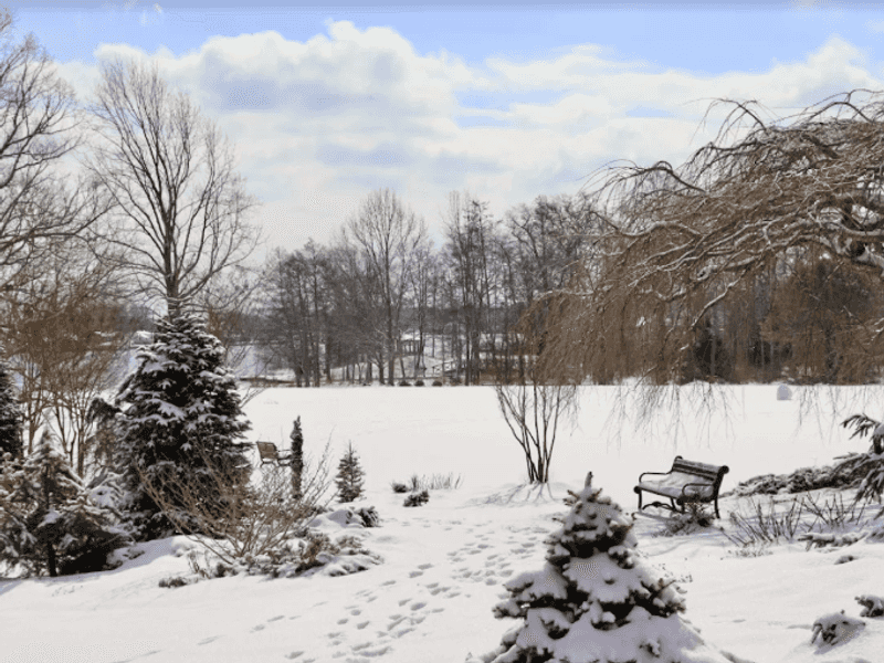 Winter Visits Are Surprisingly Worth the Cold