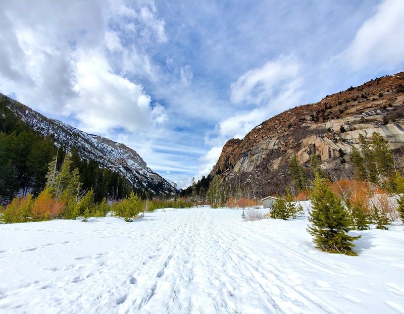 Winter Visits and What the Park Looks Like Under Snow
