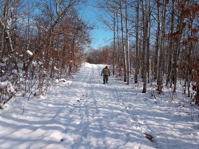 Winter and the Other Seasons Worth Knowing