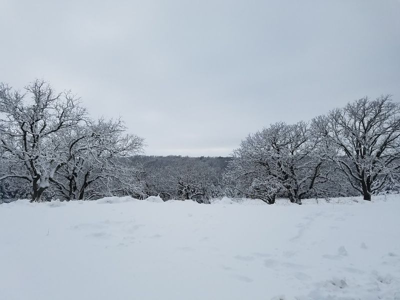 Winter at Mahoney Is Its Own Kind of Wonderful