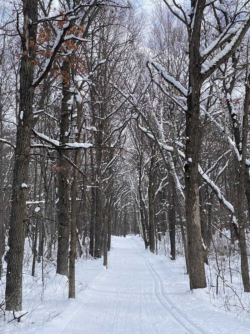 Winter at the Arboretum Is a Whole Different Adventure