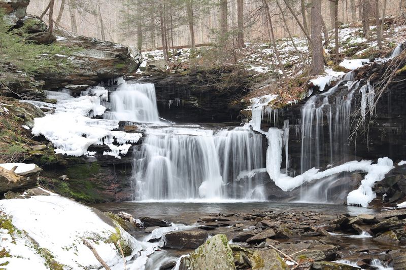 Winter at the Park Is a Completely Different World