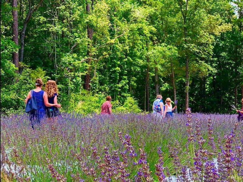 Workshops, Yoga Nights, and Creative Events Workshops, Yoga Nights, and Creative Events