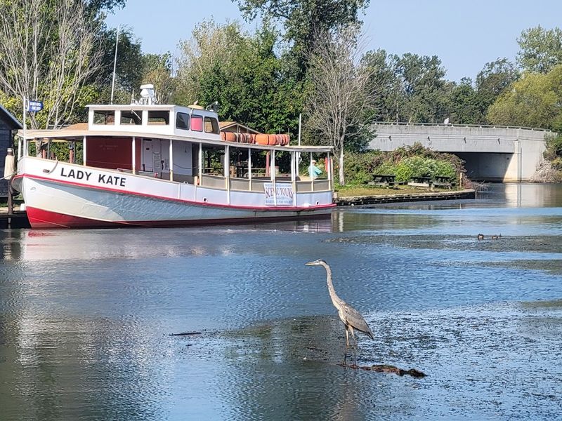 World-Class Birdwatching That Draws Serious Birders from Across the Country