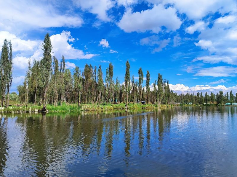 Xochimilco Ecological Reserve (Mexico City, Mexico)
