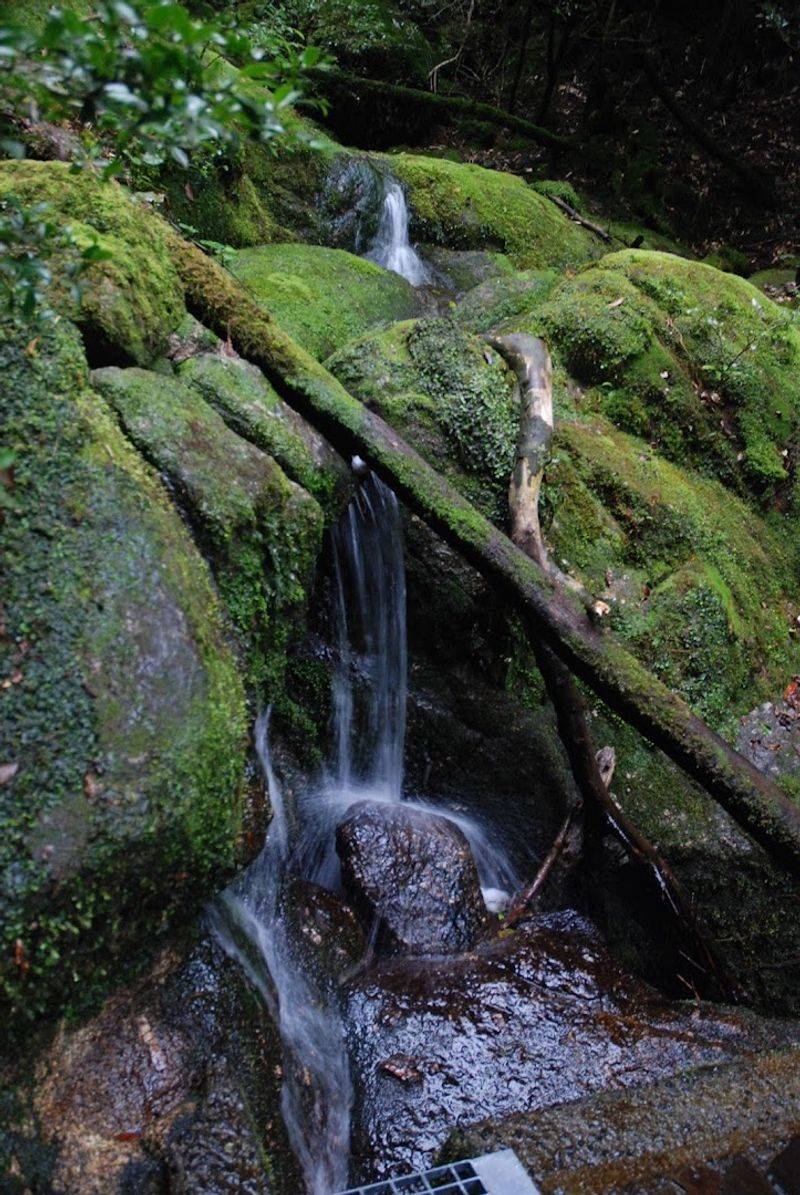 Yakushima, Kagoshima