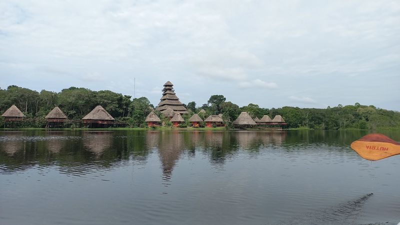 Yasuní National Park, Orellana And Pastaza, Ecuador