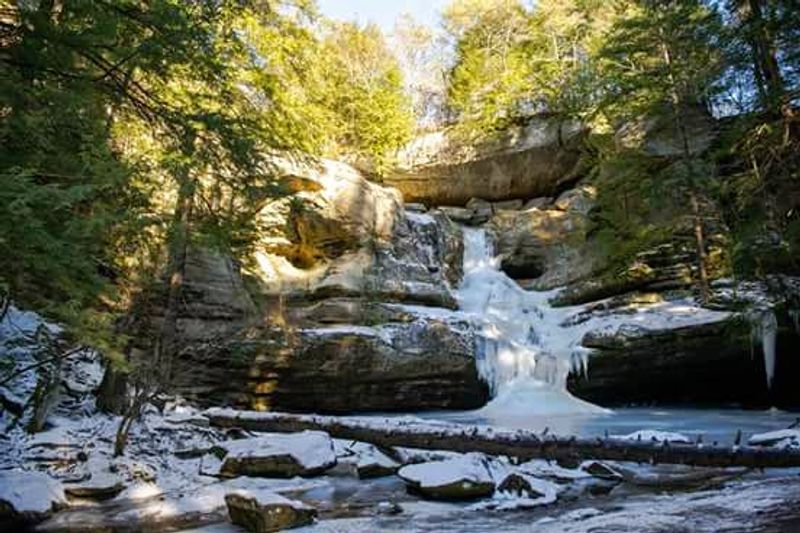 Yellow Springs - Hometown Parade and Glen Helen Picnics